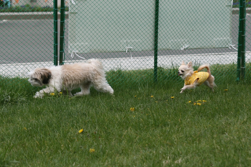 a0016775_2315761.jpg