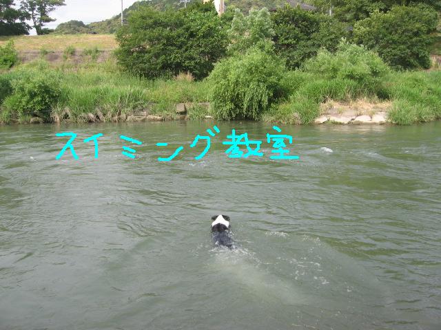 e0117976_13331894.jpg