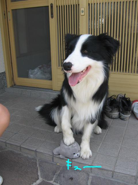 e0117976_13362166.jpg