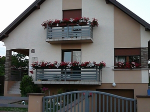 f0036481_1361483.jpg