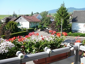 f0036481_1382263.jpg