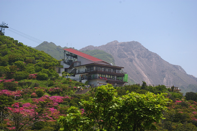 b0002585_9302957.jpg