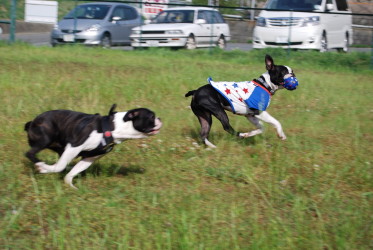 c0092787_102220100.jpg