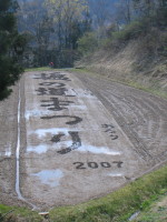 e0049598_1405833.jpg