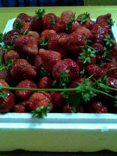 f0092906_22201029.jpg