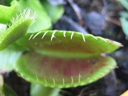 f0077807_20105858.jpg