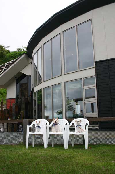 f0078014_1562739.jpg