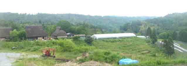 e0083820_1754504.jpg