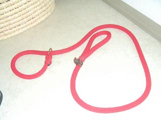 f0136322_0472223.jpg