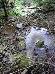 d0023725_11182263.jpg