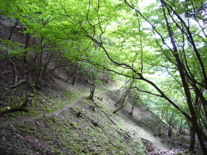 d0023725_1118593.jpg