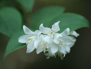 c0104227_14582731.jpg