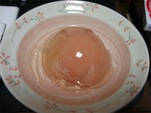 e0047928_0495919.jpg