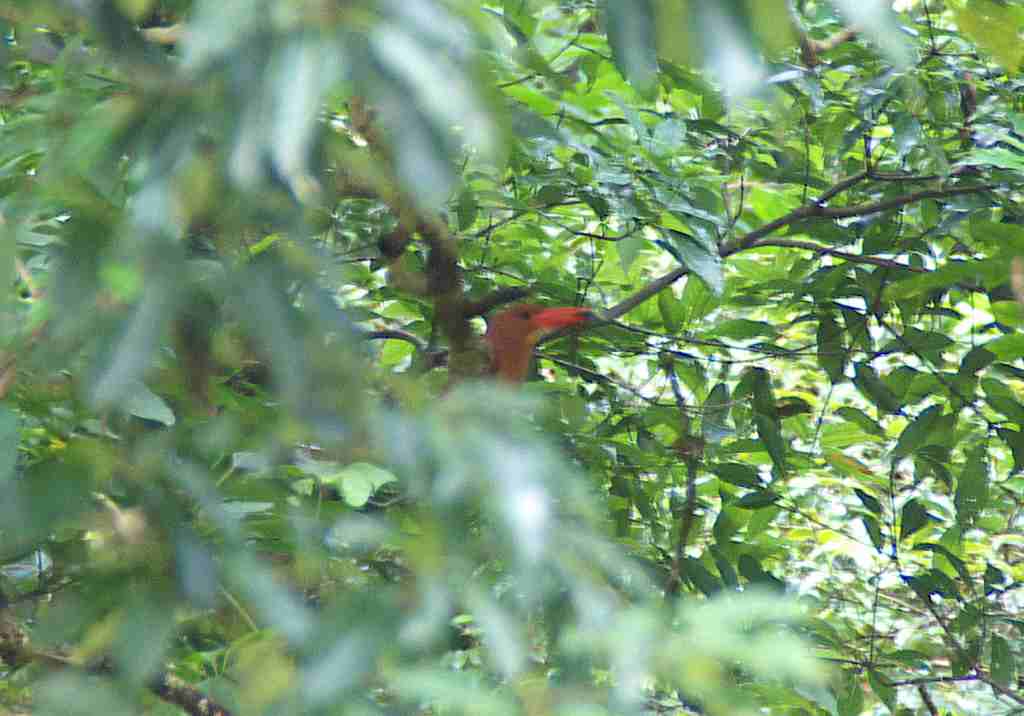 d0053930_182993.jpg