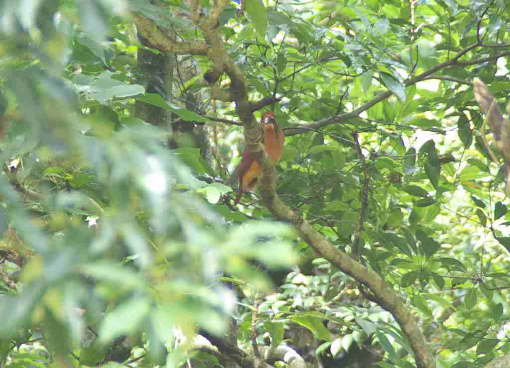 d0053930_18311827.jpg