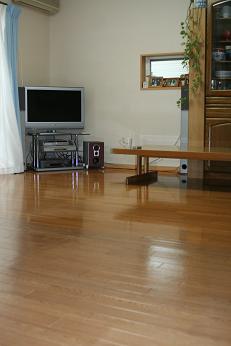 b0085331_15273543.jpg