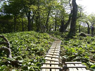 f0065941_10504627.jpg