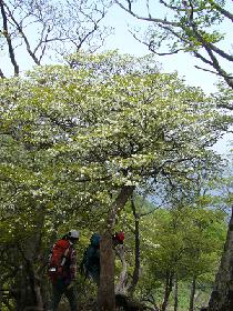 f0065941_110569.jpg
