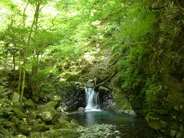 f0065941_11522996.jpg