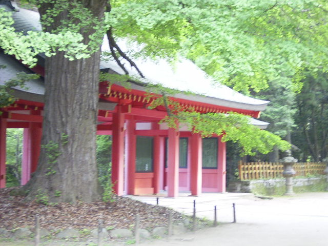 f0127441_1042166.jpg