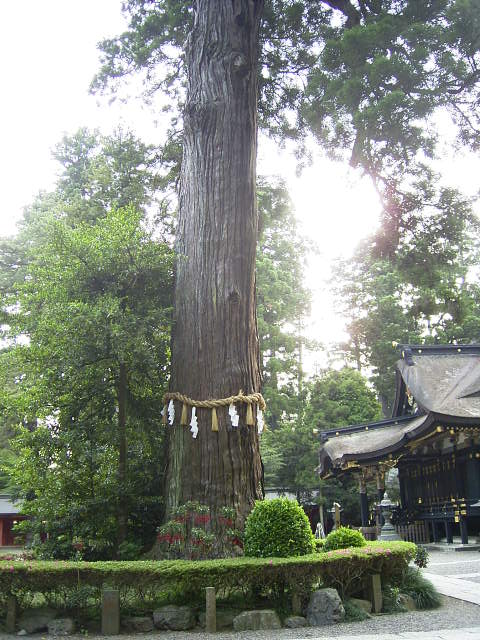 f0127441_107851.jpg