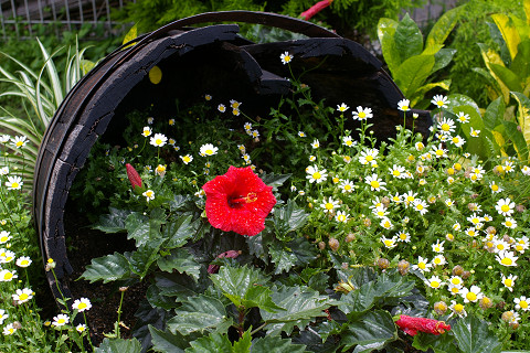 f0094045_2020622.jpg