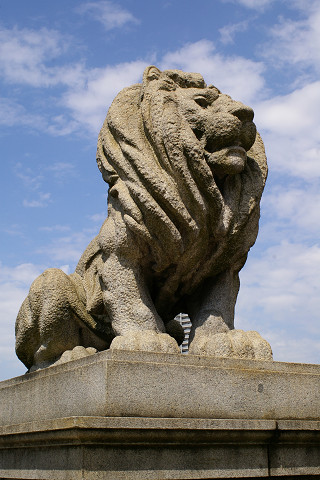 f0094045_20232137.jpg