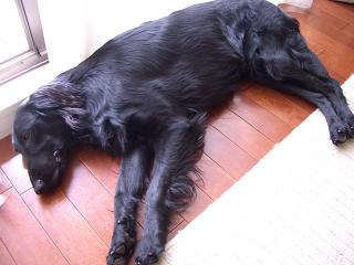 f0107145_11163028.jpg
