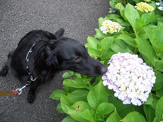 f0107145_1121861.jpg