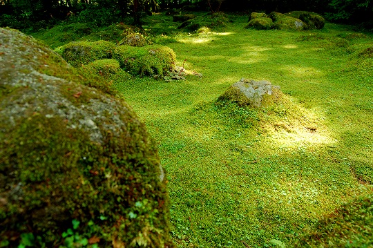 d0123346_22173693.jpg