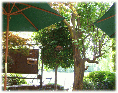 c0025852_17402195.gif