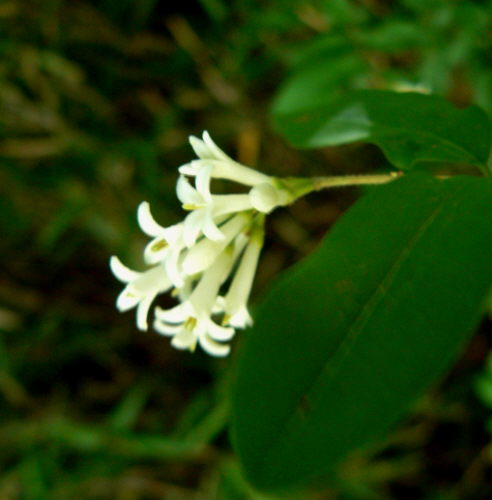 d0091754_051642.jpg