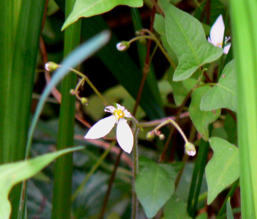 d0091754_437161.jpg