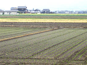 f0062055_9155372.jpg
