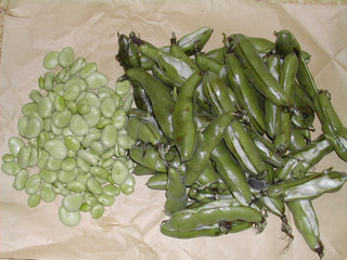 a0088456_782029.jpg
