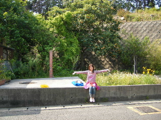 f0043559_16421820.jpg