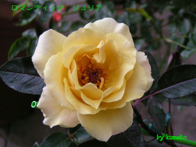 f0074659_221342.jpg
