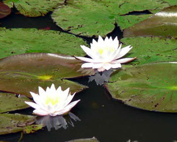 f0086169_15404457.jpg