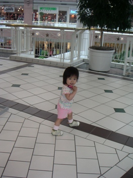 a0072371_484271.jpg