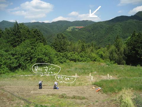 b0032079_043738.jpg