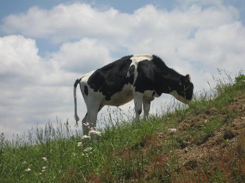 b0032079_235797.jpg