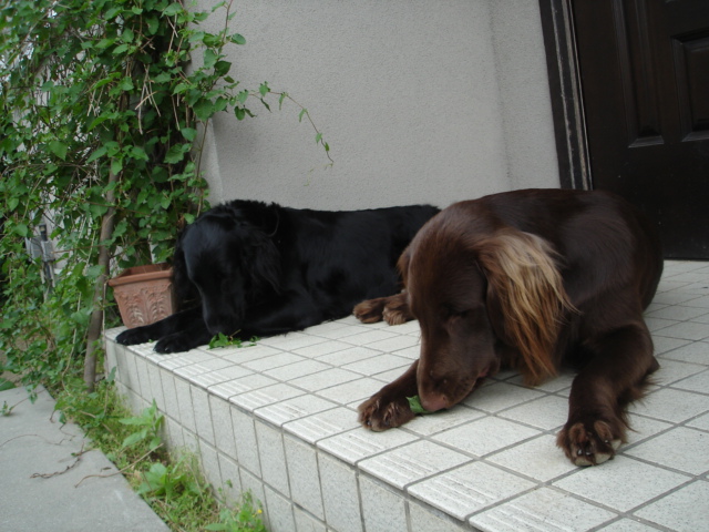 d0078080_965960.jpg