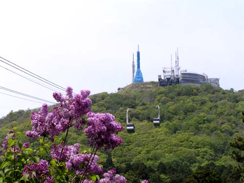 f0092382_132315.jpg