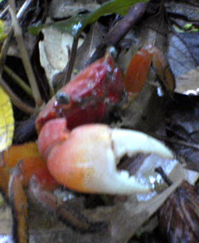f0137483_163743.jpg