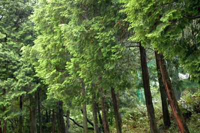 b0061588_17354651.jpg