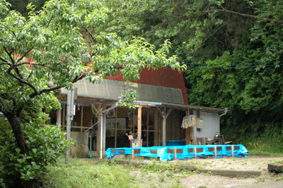 b0061588_17365577.jpg