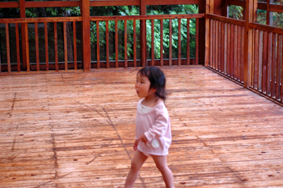 b0061588_1741313.jpg