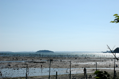 b0061588_1744786.jpg