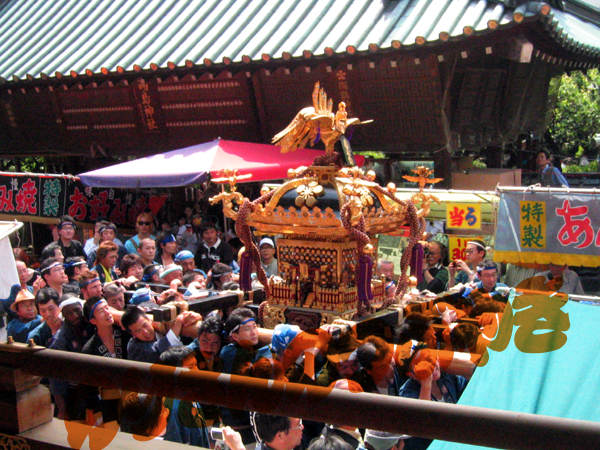 d0053492_1535065.jpg