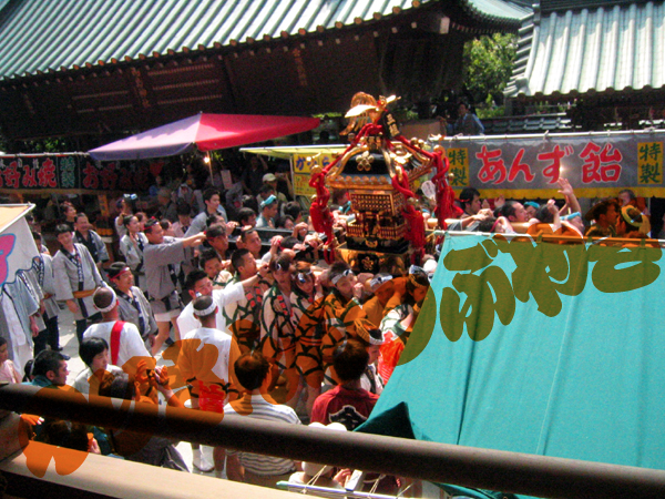 d0053492_1543598.jpg